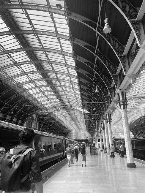 Inside a modern train station with high, curved glass and metal roofing, featuring a spacious platform where several passengers are walking or waiting. Some individuals are carrying luggage or backpacks, and there are train cars visible on either side of the platform. Overhead lighting fixtures hang from the ceiling, illuminating the area. The station environment includes supporting columns and structural details typical of a busy transport hub. The scene captures the movement and activity associated with home relocation or furniture transport, facilitated by professional removal services such as Removal Companies Paddington. The architecture emphasizes the scale and openness of the station, essential for efficient loading and unloading of goods during packing and moving processes.
